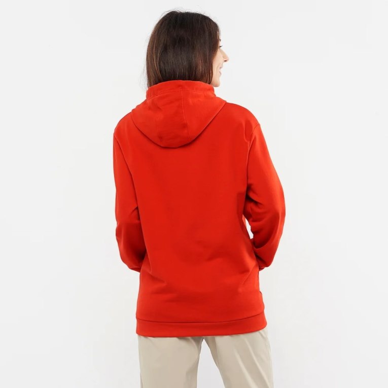 Sudadera Con Capucha Salomon Outlife Logo Summer Mujer Rojos | MX AMDV684